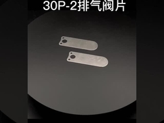 Pièces mécaniques adaptées aux besoins du client de service emboutissant le plat de valve de pièces