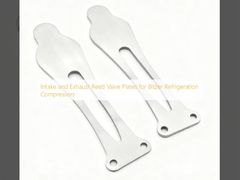 Plaques de soupapes à roseaux d'admission et de sortie pour compresseurs de réfrigération Bitzer