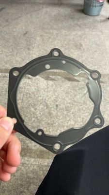 Garniture des véhicules à moteur de porte d'ODM d'OEM pour le certificat d'OIN de BYD E5
