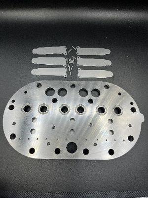 15P Assemblage de la plaque de soupape du compresseur de réfrigération Copeland et des tiges de soupape pour congélateur de stockage à froid