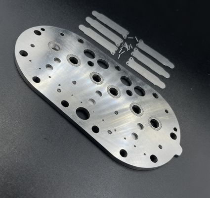 15P Assemblage de la plaque de soupape du compresseur de réfrigération Copeland et des tiges de soupape pour congélateur de stockage à froid
